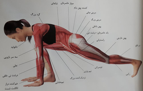 جهش ( لانگ ) بلند جهش ( لانگ ) بلند